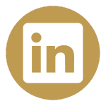 Connect with Holt Executive on Linkedin